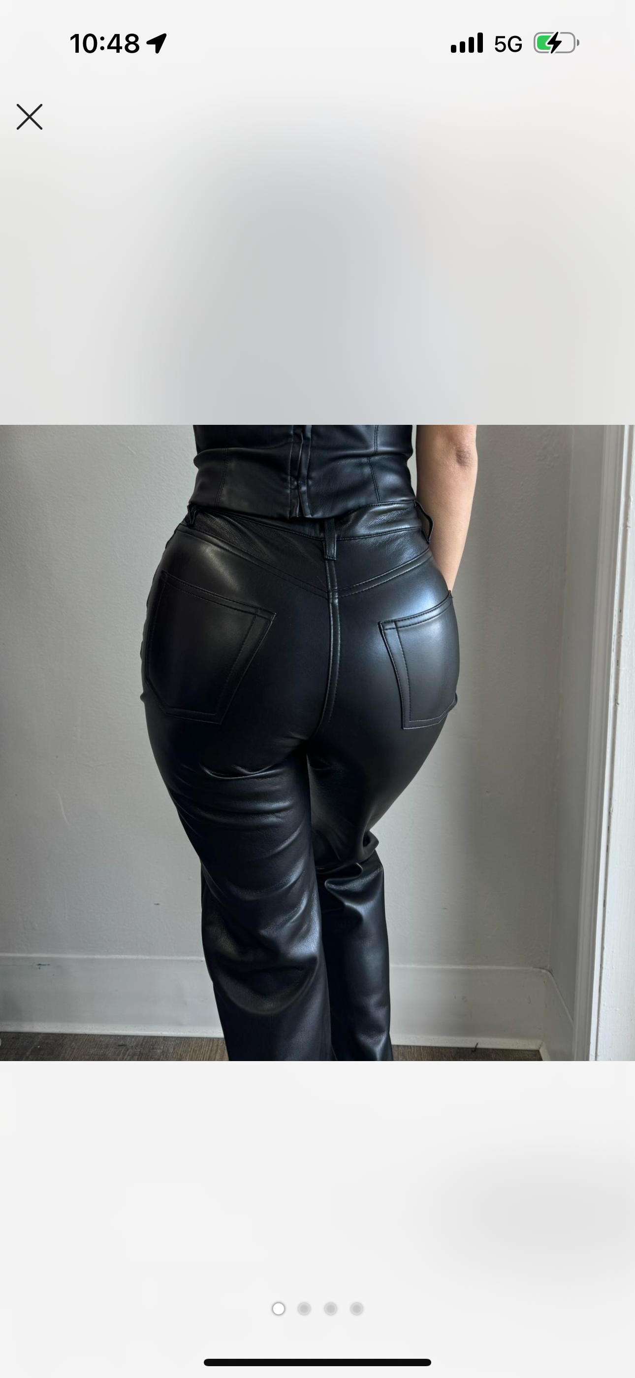 ARITZIA Leather Pant