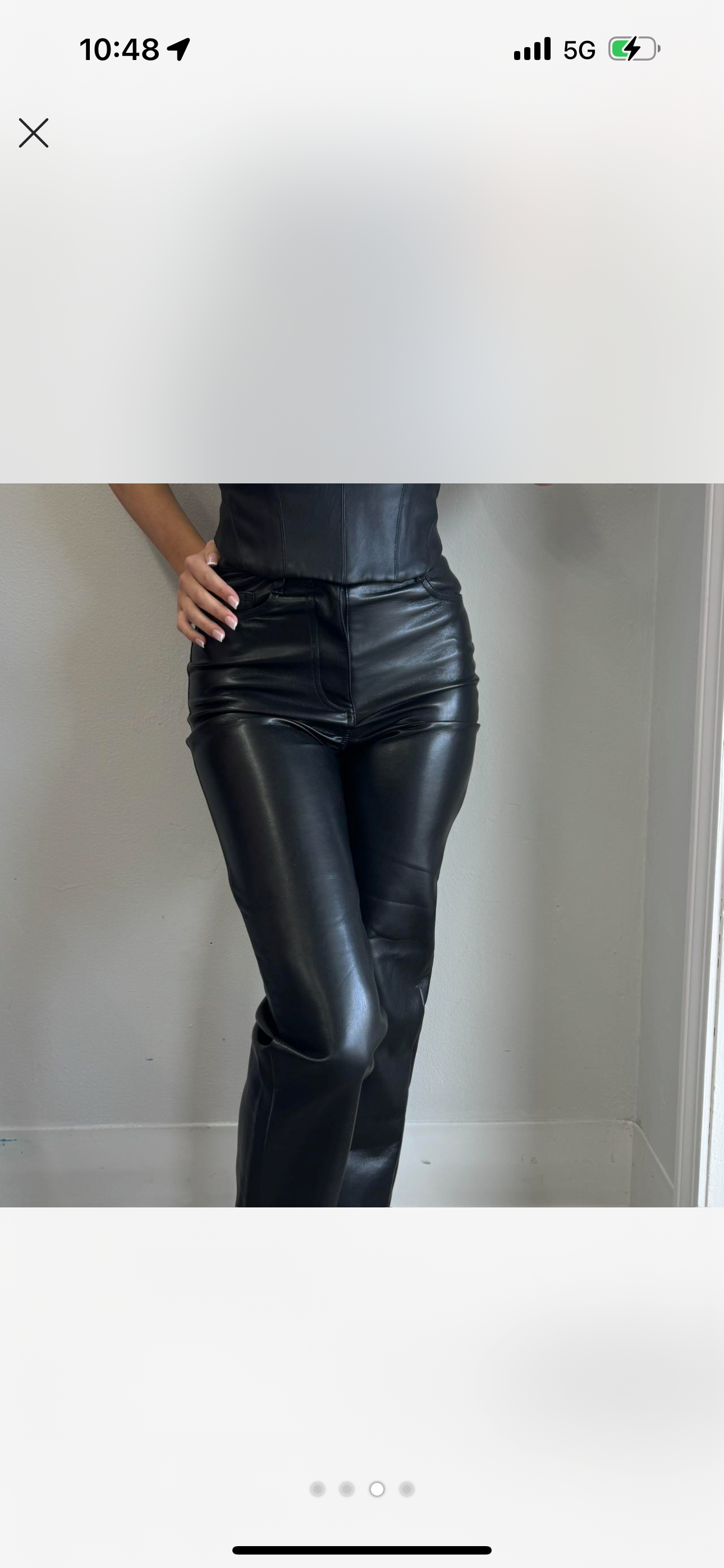 ARITZIA Leather Pant